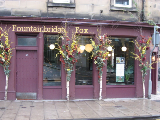 Photograph of Fountainbridge Fox in Edinburgh.