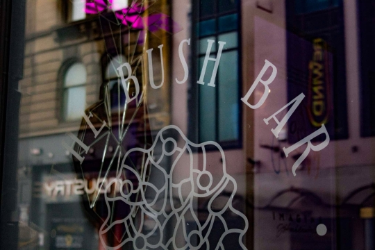 Photograph of The Bush Bar in Dundee.